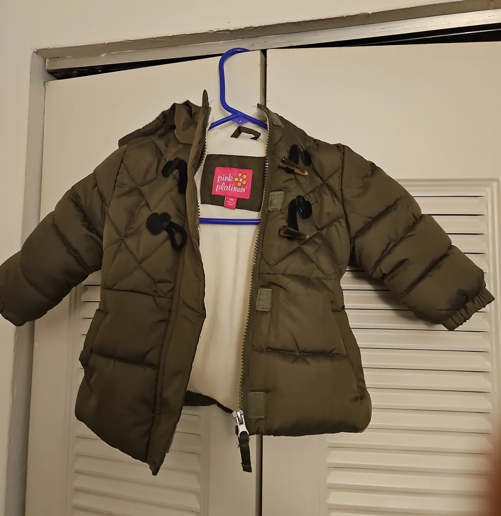 Pink Platinum Olive Puffer Coat with Hood for Kids